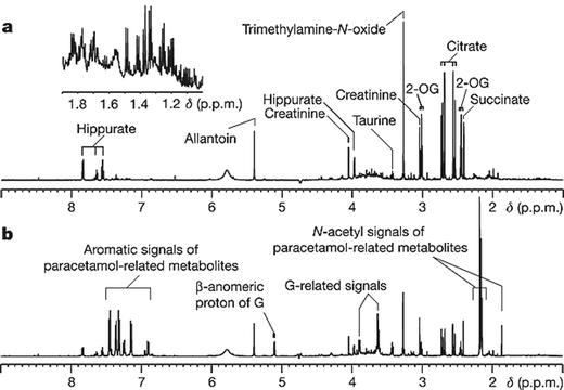 1H NMR spectra of pre-dose (a, −48 h to −24 h) and post-dose (b, 0 to +24 h) urine samples from a rat dosed with paracetamol (600 mg kg−1). The inset in a is an expansion of the δ1.9–1.0 region, indicating the complexity of the endogenous profile and the richness of the embedded information. 2-OG, 2-oxoglutarate; G, paracetamol glucuronide. Reprinted by permission from Macmillan Publishers Ltd: Nature, 2006, 440, 1073–1077 (www.nature.com), copyright 2006.