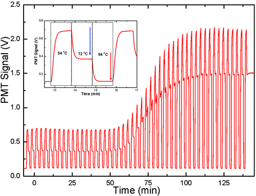Fluorescence signal detected from a PCR chip versus time over 50 cycles. The fluorescence signal from a single PCR cycle is shown in the inset. The real time PCR data points were obtained by subtracting the fluorescence signal at a temperature of 94 °C (shown by a red arrow in the inset) from the signal at a temperature of 72 °C (shown by a blue arrow in the inset). The cycle threshold (CT) value of this PCR sample was about 20.
