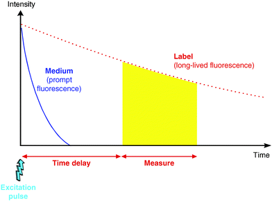 Time-resolved detection of a fluorescent signal. The fluorescent signal from the long-lived tracer (dashed line) is integrated after a fixed delay time to exclude the fluorescence background (solid line) from the measurement window (shaded area).