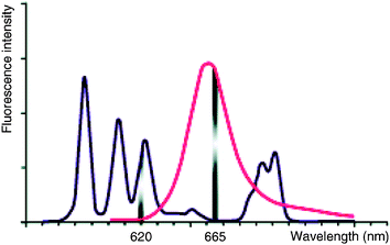 Spectral selectivity of the HTRF signal. Characteristics of the emission spectra both of the europium cryptate (darker line) and the acceptor (paler line) are responsible for the spectral selectivity between the acceptor fluorescence emission at 665 nm and the donor fluorescence emission at 620 nm.