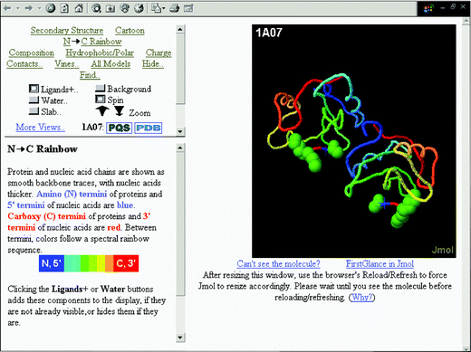 3D visualisation of molecules using FirstGlance in Jmol.