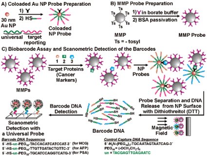 Biobarcode Assay for Multiplexed Protein Detection. Reprinted with permission from J. Am. Chem. Soc., 2006, 128(26), 8378–8379. Copyright 2006 American Chemical Society.
