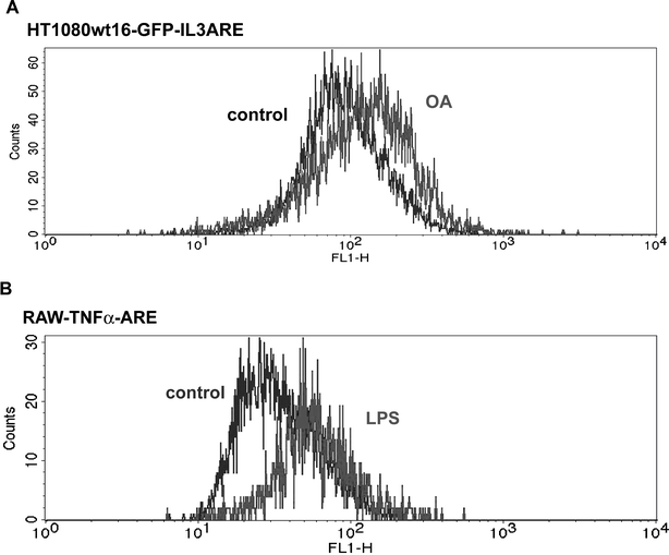 (A) The GFP-IL3 reporter was inserted in HT1080 cells and a clone, wt16-GFP-IL3ARE, was selected for further study. Reporter cells stimulated with okadaic acid (OA, 100 nM, 4 h) showed increased GFP fluorescence due to mRNA stabilization. (B) A heterologous system using the TNFα-ARE in RAW264.7 macrophages. Stimulation with LPS (2 μg ml−1, 8 h) gave the expected GFP shift due to increased TNFα-ARE mRNA stability.