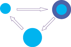 Concept of growing a screening collection.