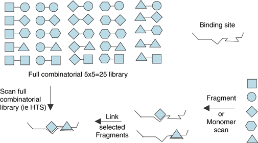 For a set of five fragments there are 25 different pairwise combinations. By contrast, if the fragments are screened individually then the desired combination can be obtained directly.