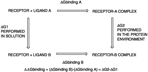 Thermodynamic cycle used to compute differences in free energy of binding between two inhibitors, A and B