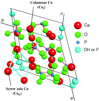 Structure of apatite.