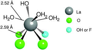 A proposed surface structure of apatite-bound La complexes.