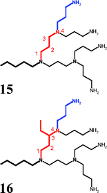 Fragments of polyamine-structures.