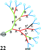 Example of an unsymmetrical dendron.