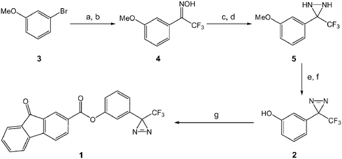 Synthesis of diazirine functionalised fluorenone derivative 1, (a) n-BuLi, Et2NCOCF3 (b) NH2OH·HCl (c) TsCl, NEt3, DMAP (d) NH3, −78 °C (e) Ag2O (f) BBr3 (g) fluorenone-2-carboxylic acid, DCC, DMAP.