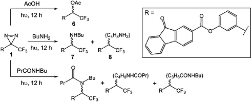 Insertion products generated via photochemical reaction of 1 with acetic acid, n-butylamine and N-butylbutyramide.