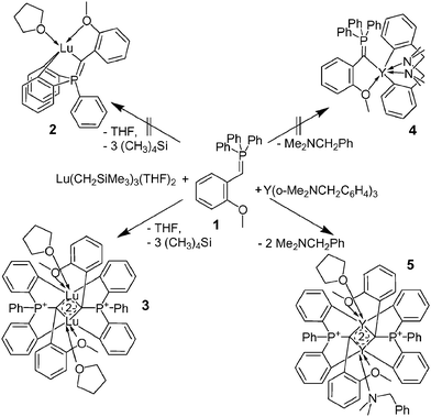 Synthesis of binuclear phosphoranylidene complexes 3 and 5.