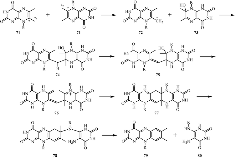 Mechanistic proposal for the formation of riboflavin.