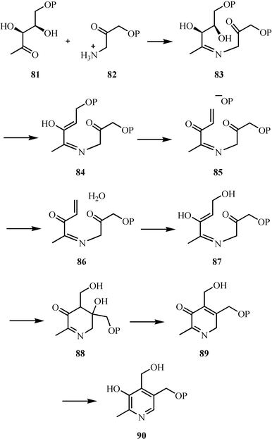 Mechanistic proposal for the formation of the pyridine ring of pyridoxal phosphate in E. coli.