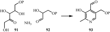 A new biosynthetic route to pyridoxal phosphate.