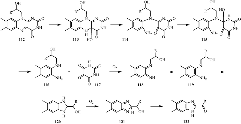 Mechanistic proposal for the formation of the dimethylbenzimidazole ligand of vitamin B12122.