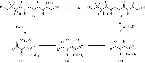 Mechanistic proposal for the decarboxylation of phosphopantothenoylcysteine.