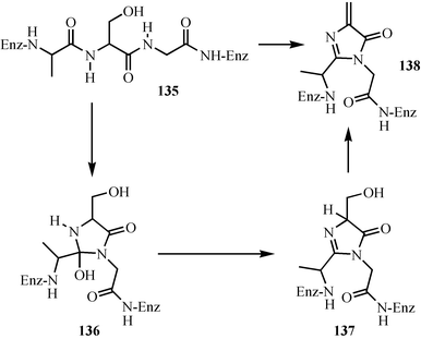 Mechanistic proposal for the biosynthesis of the 5-methylene-3,5-dihydroimidazol-4-one cofactor of phenylalanine and histidine ammonia lyase.