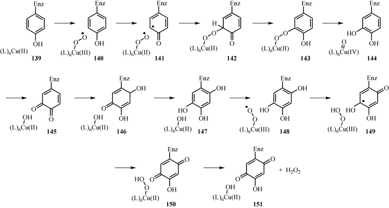 Mechanistic proposal for the formation of the topaquinone cofactor.