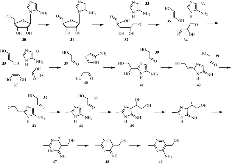 Mechanistic proposal for the formation of the pyrimidine moiety (49) of thiamin pyrophosphate.