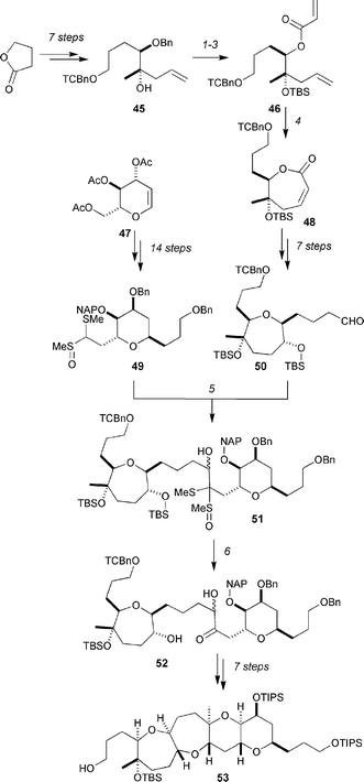 Fujiwara's formal synthesis of hemibrevetoxin B. Reagents and conditions: (1) TBSOTf, 2,6-lutidine, CH2Cl2, 99%; (2) DDQ, CH2Cl2–H2O (10 : 1), 93%; (3) acryloyl chloride, DIPEA, CH2Cl2, 94%; (4) Grubbs’ 2nd-generation catalyst, CH2Cl2, reflux, 89%; (5) 49, LDA then 50 (0.37 equiv.), −78 °C, 86%; (6) TFA–THF–H2O (1 : 5 : 5), 0 °C → rt, 71%.