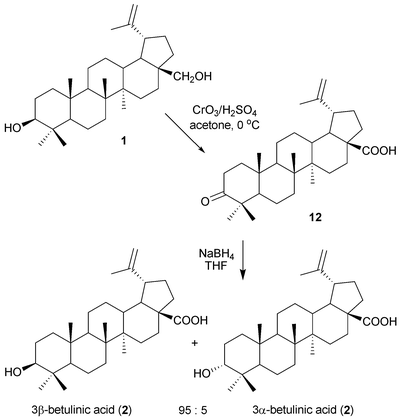 Birch bark research and development - Natural Product Reports (RSC  Publishing) DOI:10.1039/B606816B