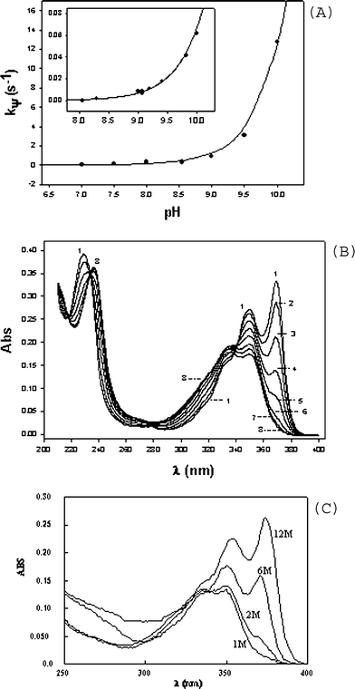 (A) pH effect on kψ of hydrolysis of III to II. Inset: pH effect on kψ of hydrolysis of II to I. All buffers used were 0.02 M (see methods). The final concentrations of II and III were 1 × 10−5 M. Lines were calculated using eqn (1). (B) UV-Vis spectra of reaction mixtures of III in equilibrium with II as a function of time, in minutes, in 0.1 M HClO4, pH = 1.0 at: (1) t = zero, (2) t = 0.5; (3) t = 1.5; (4) t = 3; (5) t = 5; (6) t = 9; (7) t = 19; (8) t = 70. The reaction was started with I. (C) Spectra at the end of reaction starting from I-Base, 1 × 10−5 M, in different [HClO4].