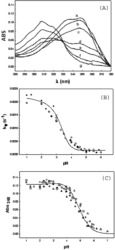 (A) UV-Vis final spectra of cyclization of I to II at several pH's: (a) pH 2.3; (b) pH 3.0; (c) pH 4.0; (d) pH 4.9; (e) pH 5.2; (f) pH 5.5 and (g) pH 6.5. (B) pH effect on kψ of equilibrium reaction between II and I, starting from I-Base, followed at 348 nm and [I-Base] = 1.05 × 10−5 M. The solid line was obtained using eqn (14) and the different symbols correspond to independent sets of experiments. (C) pH effect on the absorbance at equilibrium between II and I, at 348 nm, starting the reaction from [I-Base] = 8.8 × 10−6 M. The different symbols correspond to independent sets of experiments. The solid line was obtained using eqn (10).