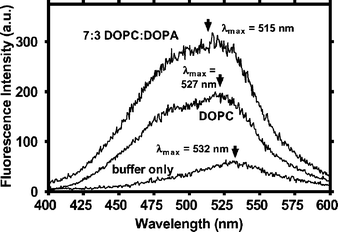 Fluorescence spectra for dansyl channel 7 in (bottom line) buffer, in pure DOPC liposomes, and (top line) 70 : 30 (w/w) DOPC : DOPA liposomes.
