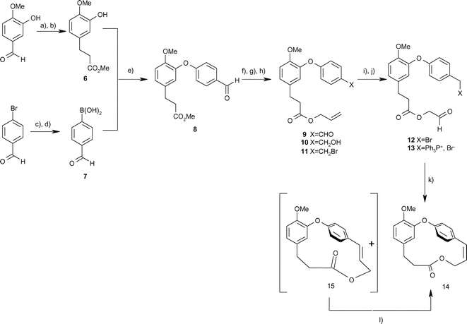 Synthesis of combretastatin D2 methyl ether via intramolecular Wittig reaction. (a) Ph3PCHCO2Me, DCM, r.t., overnight, 95%, (b) HCO2NH4, 10% Pd/C, MeOH, reflux 3 h, 91%, (c) ethylene glycol, PhCH3, pTsOH, 18 h, 75–89%, (d) i) nBuLi, THF, B(OiPr)3, −78 °C to r.t. overnight, ii) 3 N HCl, THF, 2 h, r.t., 70–75% overall, (e) Et3N, Cu(OAc)2, DCM, 4A molecular sieves, r.t., 18 h, 55–70%, (f) allyl alcohol, Bu2SnO, reflux, 20 h, 88–95%, (g) NaBH4, MeOH, r.t., 3 h, 65%, (h) CBr4, PPh3, DCM, r.t, 3 h, 85–90%, (i) O3, DCM, −78 °C, then Me2S, DCM, −78 °C to r.t., 4 h, (j) PPh3, MeCN, r.t., 2 d, (k) K2CO3–18-C-6, DCM, slow addition, 20 °C, overnight, 26–31% from 11, (l) light, CCl4–CHCl3, overnight, quantitative.