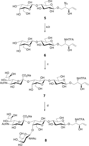 Reagents and conditions: (a) H2S, pyridine–H2O–Et3N (10 : 1 : 0.3), 87%; (b) methyl trifluoroacetate, MeOH, 75%; (c) α-(2,3)-Neu5Ac transferase, CMP-Neu5Ac, 88%; (d) β-(1,4)-GalNAc transferase, UDP-GlcNAc 4-epimerase, UDP-GlcNAc, 95%.