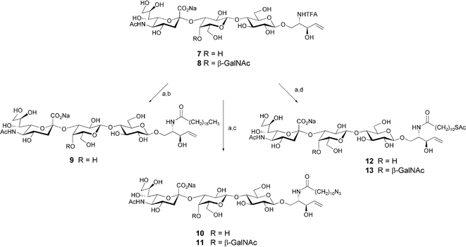 Reagents and conditions: (a) NaOMe, MeOH, 40 °C; (b) N-(octadecanoyloxy)succinimide, 4-N,N-dimethylaminopyridine, pyridine–H2O (9 : 1), 40 °C, 55%; (c) N-(11-azidoundecanoyloxy)succinimide, 4-N,N-dimethylaminopyridine, pyridine–H2O (9 : 1), 40 °C, 78% for 10, 76% for 11; (d) N-(11-thioacetylundecanoyloxy)succinimide, 4-N,N-dimethylaminopyridine, pyridine–H2O (9 : 1), 40 °C, 80% for 12, 95% for 13.