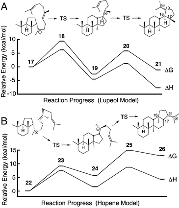 Energetics of D- and E-ring formation in lupeol (A) and hopene (B) synthesis predicted by B3LYP/6-311+G(2d,p)//B3LYP/6-31G(d) calculations for C25H43 models. Numerical data are given in Table S1.