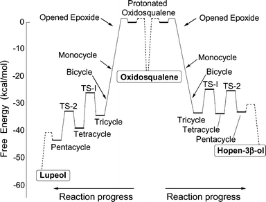 Predicted free energy profile for the cyclization of oxidosqualene to hopene or lupeol. These energies are based on gas-phase mPW1PW91/6-311+G(2d,p)//B3LYP/6-31G* calculations. Energies involving the protonation of oxidosqualene and deprotonation of the pentacyclic cation to lupeol or hopene (shown by dashed lines) are indeterminate in this model, although the relative energies of protonation/deprotonation can be estimated (see text).