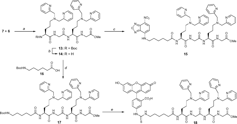 Reagents and conditions: (a) EDC·HCl (1.1 equiv.), HOBt·H2O (1.1 equiv.), NMM (5 equiv.), CH2Cl2–DMF, 80%; (b) 4 M HCl in dioxane, quant.; (c) 11 (1.5 equiv.), EDC·HCl (2.5 equiv.), HOBt·H2O (2.5 equiv.), NMM (10 equiv.), CH3CN, 82%; (d) EDC·HCl (1.1 equiv.), HOBt·H2O (1.1 equiv.), NMM (6 equiv.), CH3CN, 78%; (e) Step 1: 4 M HCl in dioxane; Step 2: FITC (1.3 equiv.), NEt3 (10 equiv.), MeOH, 86%.