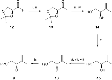 Synthesis of (S)-[2-2H1]-IPP 9. Reagents and conditions: (i) MeMgBr, Et2O; (ii) TPAP, NMO, 4 Å MS, 39%; (iii) LiCH2Si(Me)3 Et2O, −78 °C, 80%; (iv) HCl, EtOH, 75%; (v) TsCl, pyridine, 71%; (vi) KOH; (vii) NaBD3CN, BF3·OEt2; (viii) TsCl, Et3N, DMAP, 26%; (ix) (Bu4N)3HP2O7, MeCN, 87%.