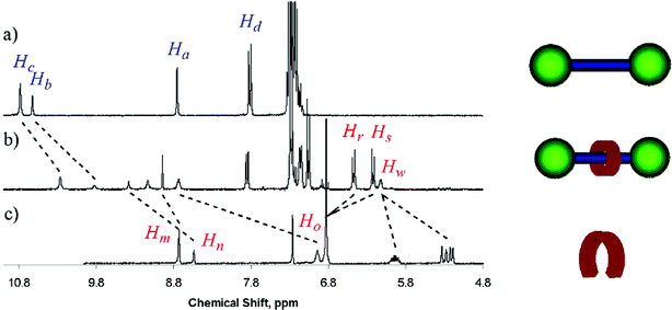 Selected region of the 1H NMR of (a) thread molecule 12a, (b) rotaxane 16a and (c) 5-nitroisophthalamide derivative 3 (CDCl3, 298 K). For proton labelling see Scheme 6.