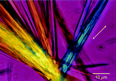 Optical microscopic observation of cyclo(ACHC)3 crystals in the cross-nicol configuration. The double-headed arrow shows the orientation of the z′ axis of the sensitive tint plate.