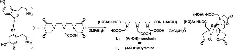 Synthetic scheme for the preparation of the CAs used in the present work: 5-hydroxytrytamide (5-HT, serotonin) or tyramine were reacted with DTPA–bis(anhydride) in the presence of Et3N to afford either L1 (di-5HT–DTPA) or L2 (di-tyramido–DTPA). Reaction of the previous ligands with an excess of GdCl3 afforded the corresponding Gd–CAs.