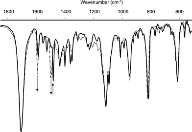IR spectra of 6Hc (solid line) on KBr irradiated at >520 nm to 6Ho (dotted line). The CO stretching vibration (1705 cm−1) allows for internal referencing of intensity changes.