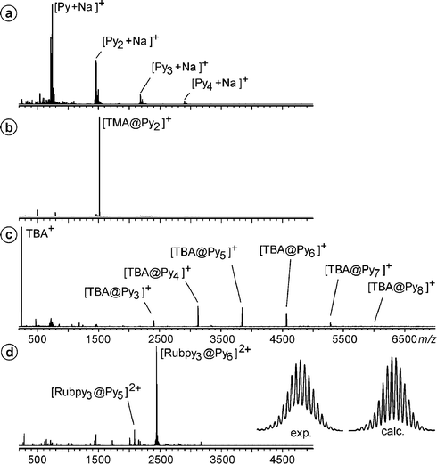 (a) ESI-FTICR mass spectrum of pyrogallarene (Py) in CHCl3–acetone (2 : 1). (b) ESI mass spectrum of the same solution after addition of 1 eq. of a tetramethylammonium (TMA) salt. (c) Distribution of clusters with tetrabutylammonium (TBA) as the guest cation. (d) ESI mass spectrum of the hexamer encapsulating Ru(bpy)32+. The experimental and calculated isotope patterns nicely match.