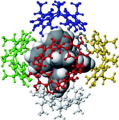 Computer model of the Ru(bpy)32+ guest encapsulated in the cavity of the hexamer. Each monomer is shown with a different colour. It can clearly be seen that the Ru complex not only fits size-wise, but also with respect to its symmetry and shape.