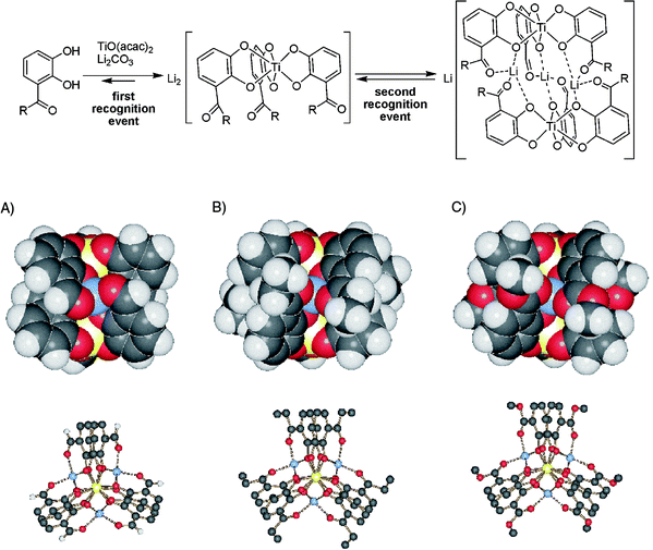 Top: self-assembly drives the formation of helical, homochiral dimeric titanium tris-catecholate complexes. Dimerisation is only mediated by Li+, while Na+ and K+ do not lead to comparable products. Bottom: crystal structures of the dimers formed from the aldehyde (left, R = H), the ethyl ketone (centre, R = C2H5), and the methyl ester (right, R = OCH3). For each, a space-filling representation (side view) and a ball-and-stick model (viewed along the Ti–Ti axis) are shown.