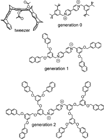 Dendritic viologens (G0–G2) and the Klärner tweezer, which forms 1 : 1 complexes with the viologen guests.