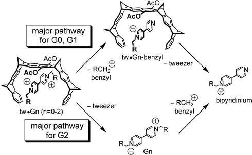 Possible pathways for the fragmentation of the tweezer–viologen complexes. Depending on the dendron size, the mechanism switches between G1 and G2 from the upper to the lower pathway.