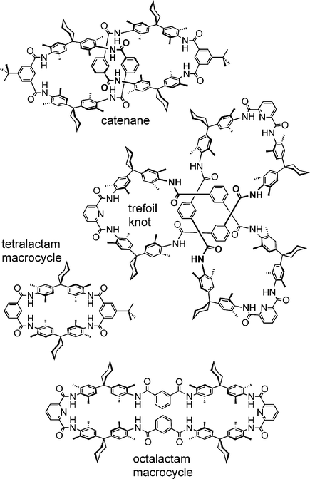 Macrocycles, catenanes and knots of the amide type.