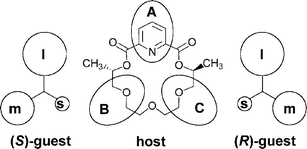 The three-point model (l = large, m = medium, s = small substituent).