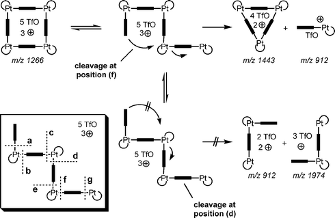 Through a back-side attack mechanism, fragmentation into 3 : 3 and 1 : 1 complexes is energetically favoured (top), while splitting into two half-squares does not benefit from such a mechanism due to the strain imposed into the structure (bottom). The inset shows all possible cleavage sites, (a)–(g). Cleavage at position (a) is the only one, which competes with that at (f).