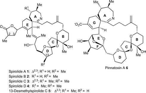 Structure of the spirolides and pinnatoxins.